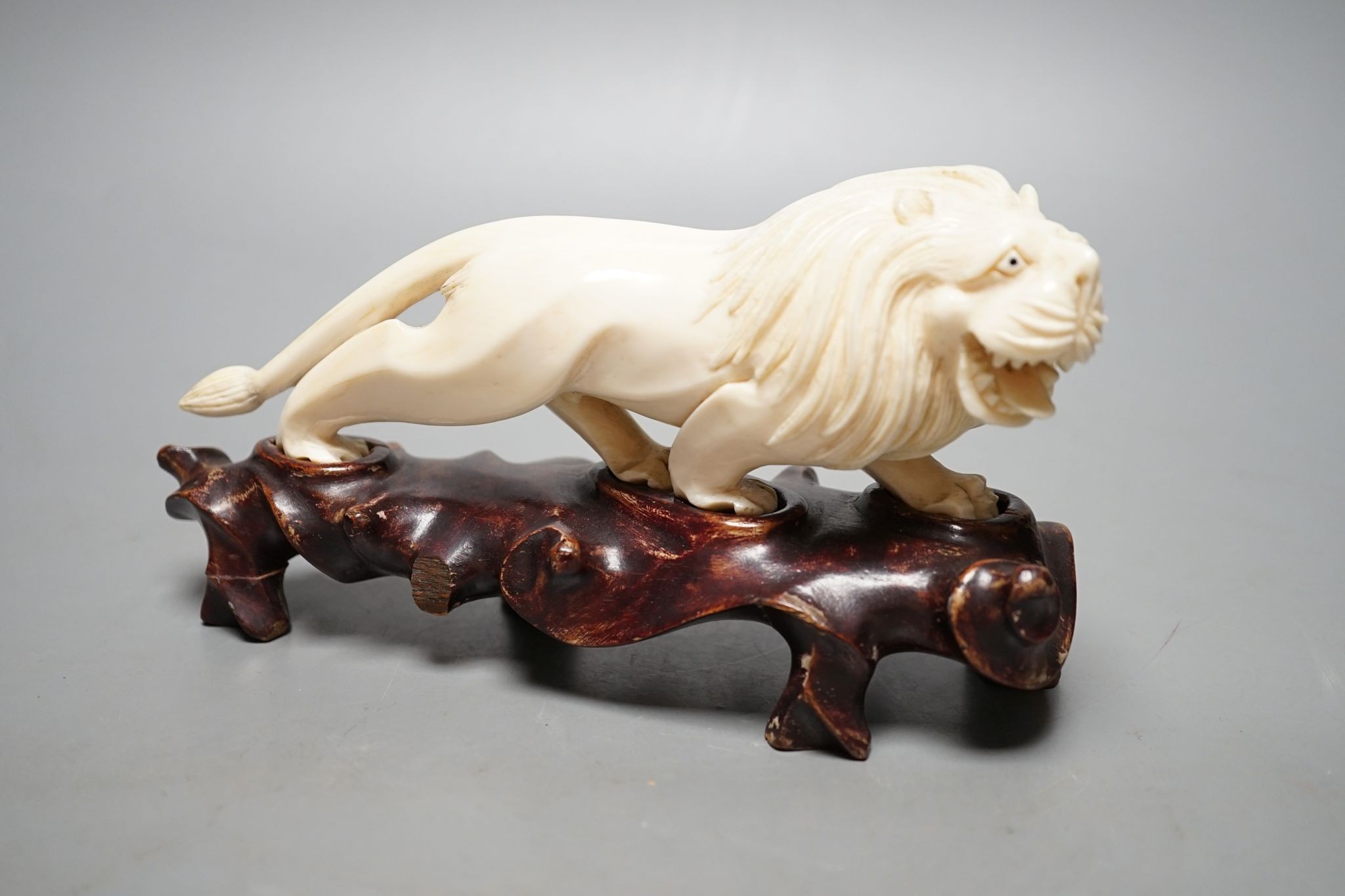 A Chinese ivory figure of a lion, on wooden stand, early 20th century, stand 20 cms wide.